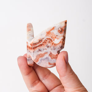 Swirly Crazy Lace Agate Butterly