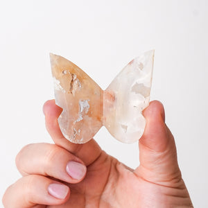 Peaceful Plume Agate Butterfly