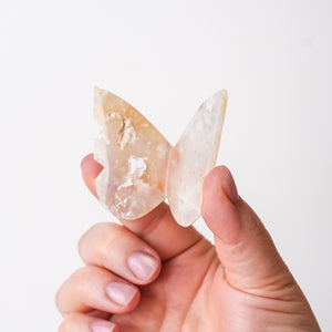 Peaceful Plume Agate Butterfly