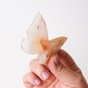 Peaceful Plume Agate Butterfly