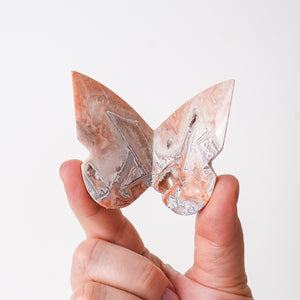 Druzy Crazy Lace Agate Butterfly