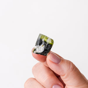 Elbaite Mini