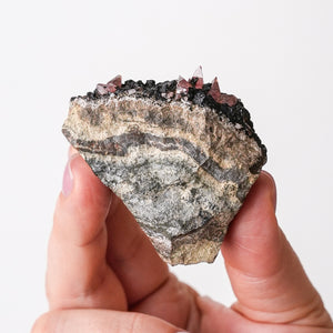 Scalenohedral Rhodochrosite with Hisingerite