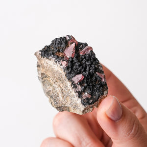 Scalenohedral Rhodochrosite with Hisingerite