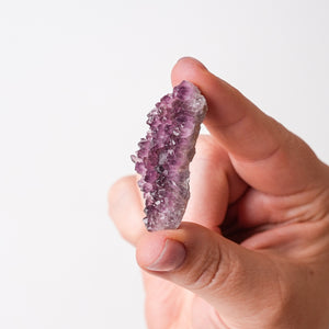 Turkish Amethyst Mini