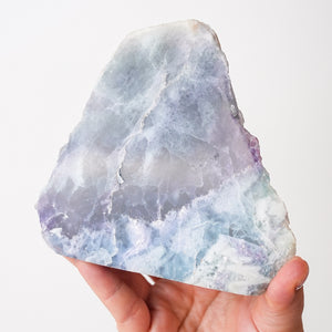 Polished Fluorite Face