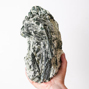 Actinolite in Talc