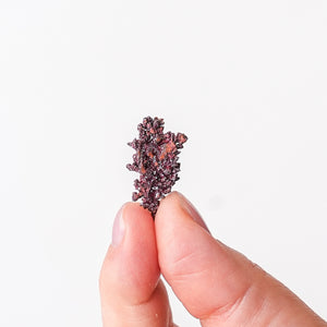 Arizona Chalcotrichite on Copper