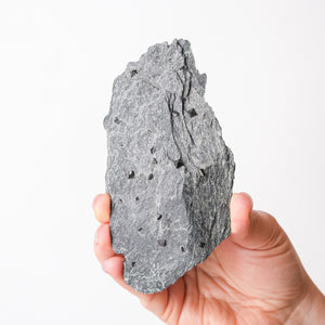 Magnetite in Cavendish Schist