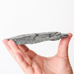 Magnetite in Cavendish Schist