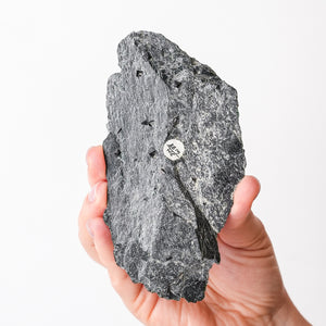 Magnetite in Cavendish Schist