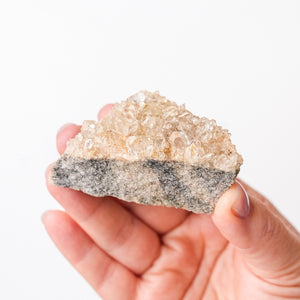 Arkansas Quartz on Quartzite