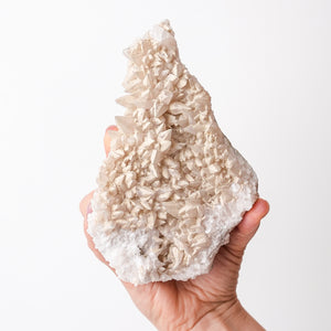 Milky Dogtooth Calcite from Arizona
