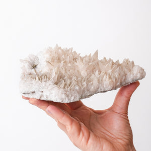Milky Dogtooth Calcite from Arizona
