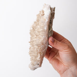 Milky Dogtooth Calcite from Arizona