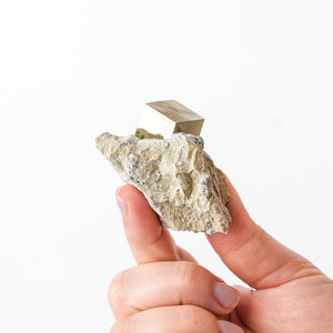 Cubic Pyrite in Marlstone