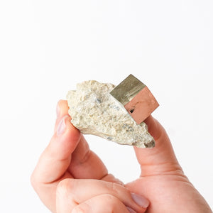 Cubic Pyrite in Marlstone