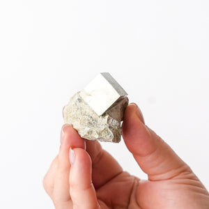 Cubic Pyrite in Marlstone