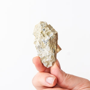Cubic Pyrite in Marlstone