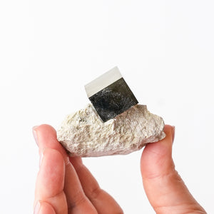 Cubic Pyrite in Marlstone