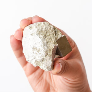 Cubic Pyrite in Marlstone