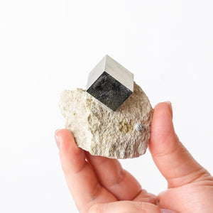 Cubic Pyrite in Marlstone