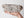 Incredible Rare Quality Agatized Florida Coral Fossil