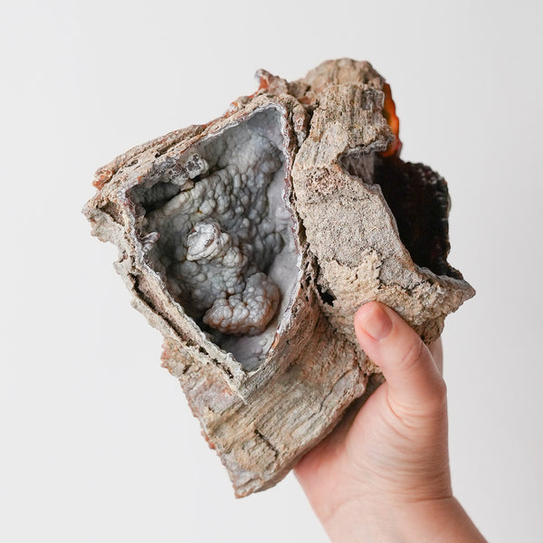 Otherworldly Agatized Coral Fossil