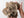 Stunning Desert Rose (Selenite)