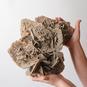 Stunning Desert Rose (Selenite)