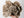 Stunning Desert Rose (Selenite)