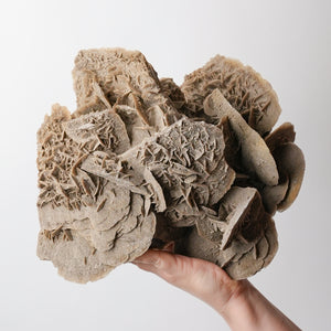 Stunning Desert Rose (Selenite)