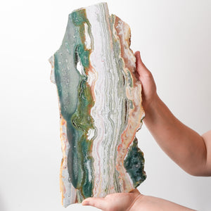 Stunning Ocean Jasper Plate