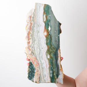 Stunning Ocean Jasper Plate