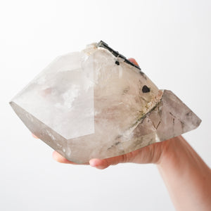 Polished Quartz with Tourmaline