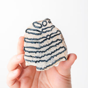 Mammoth Tooth Fossil Slice