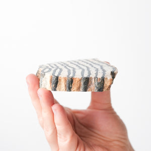 Mammoth Tooth Fossil Slice