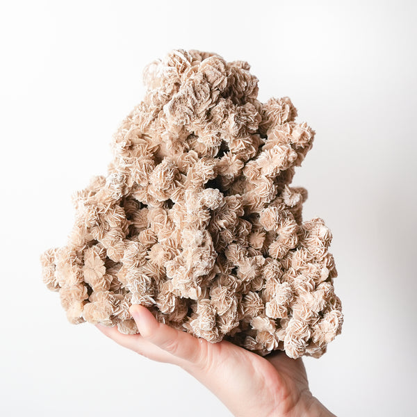 Large Desert Rose Cluster