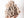 Large Desert Rose Cluster