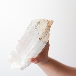 Large Selenite