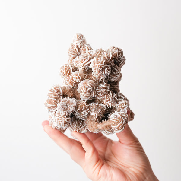 Desert Rose