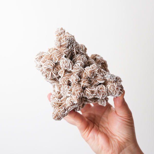 Desert Rose