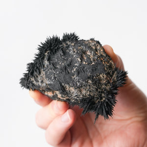 Lodestone from Utah (Magnetic!)