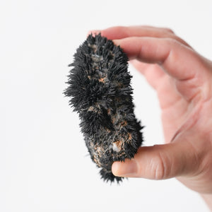 Lodestone from Utah (Magnetic!)