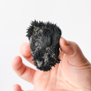 Lodestone from Utah (Magnetic!)