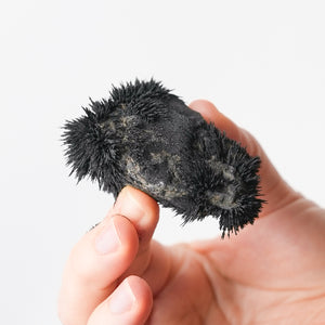 Lodestone from Utah (Magnetic!)