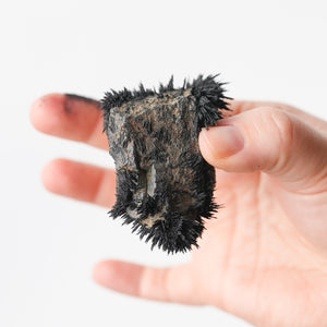 Lodestone from Utah (Magnetic!)