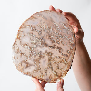 Plume Agate Slab