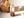 Autumn Brazilian Garden and Phantom Quartz Pair {Artisanal Mining}