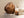 Autumn Brazilian Garden and Phantom Quartz Pair {Artisanal Mining}